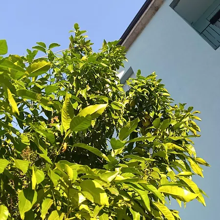 Lägenhet Altea - Di Nuovo Accogliente Mini Vicino E Giardino *