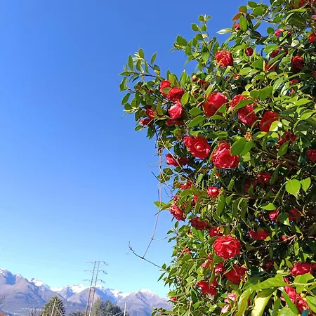 شقة Altea - Di Nuovo Accogliente Mini Vicino E Giardino ديرفيو