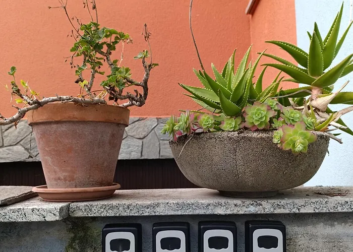 Lägenhet Altea - Di Nuovo Accogliente Mini Vicino E Giardino Dervio