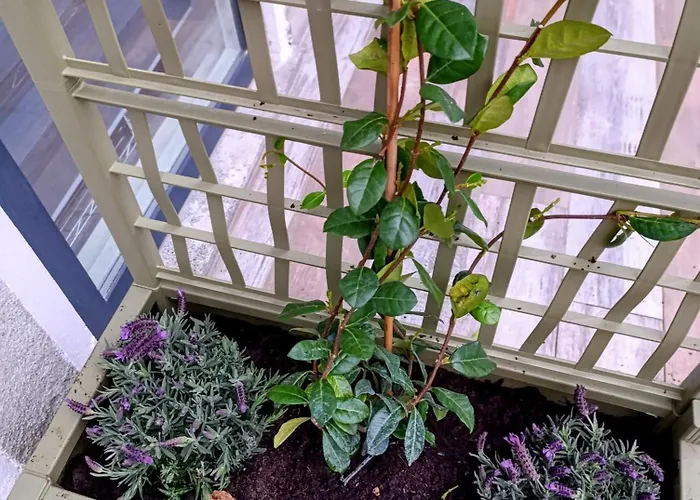 شقة Altea - Di Nuovo Accogliente Mini Vicino E Giardino